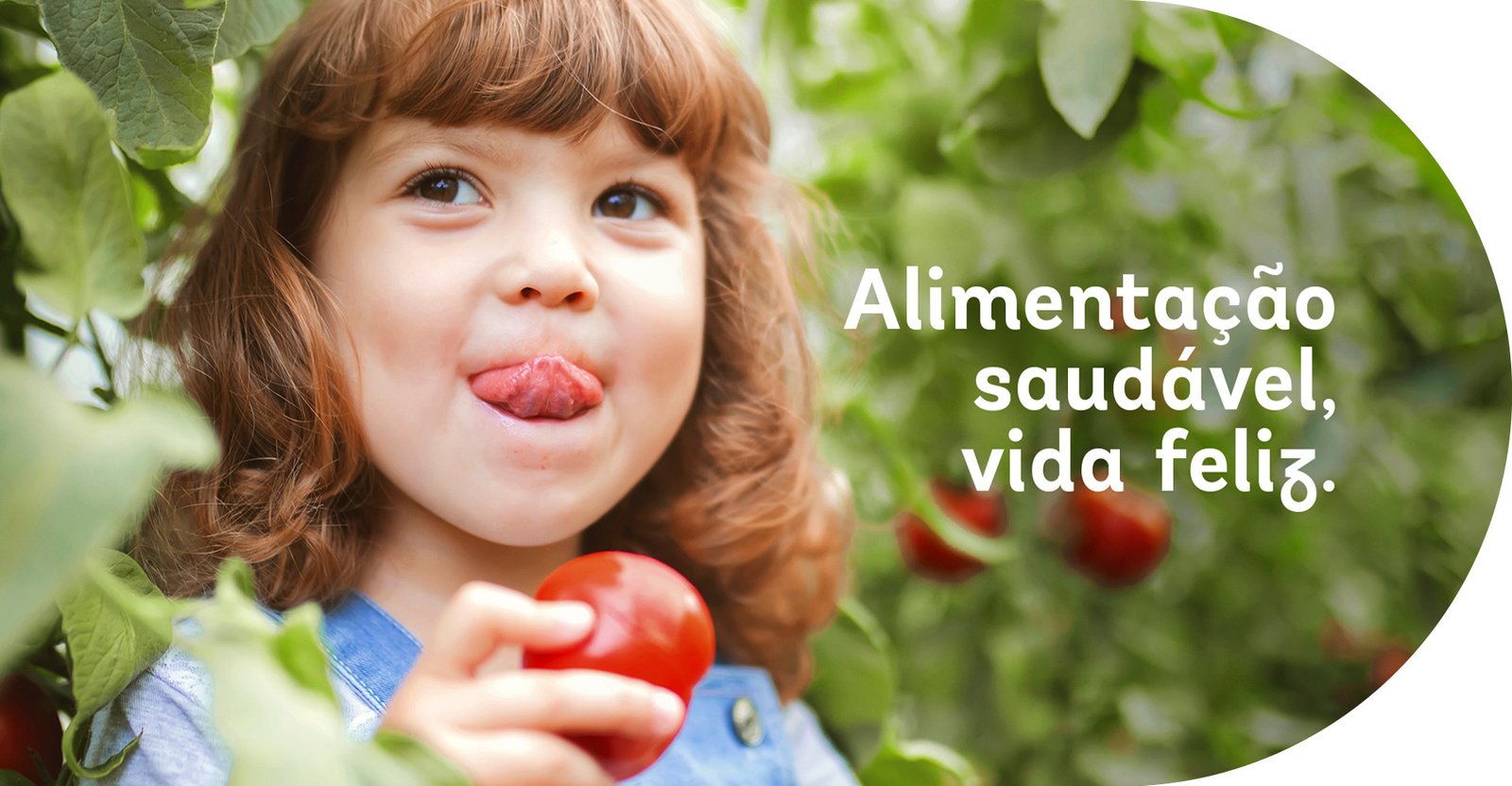 banner 01.jpg